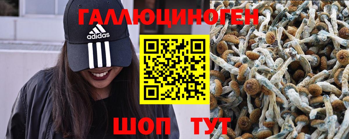Клинцы  Галлюциногенные грибы MAGIC MUSHROOMS  Псилоцибиновые грибы MAGIC MUSHROOMS  Вход с VPN 